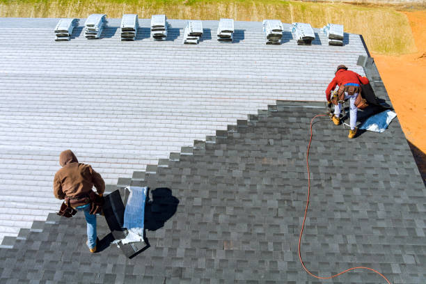 Best Storm Damage Roof Repair  in Park Rapids, MN