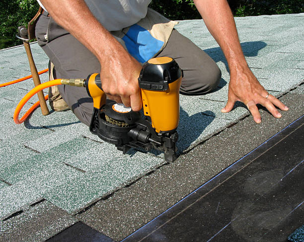 Best Roof Maintenance Services  in Park Rapids, MN