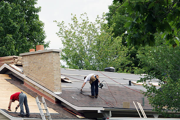 Best Local Roofing Companies  in Park Rapids, MN